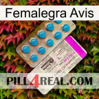 Femalegra Avis new07